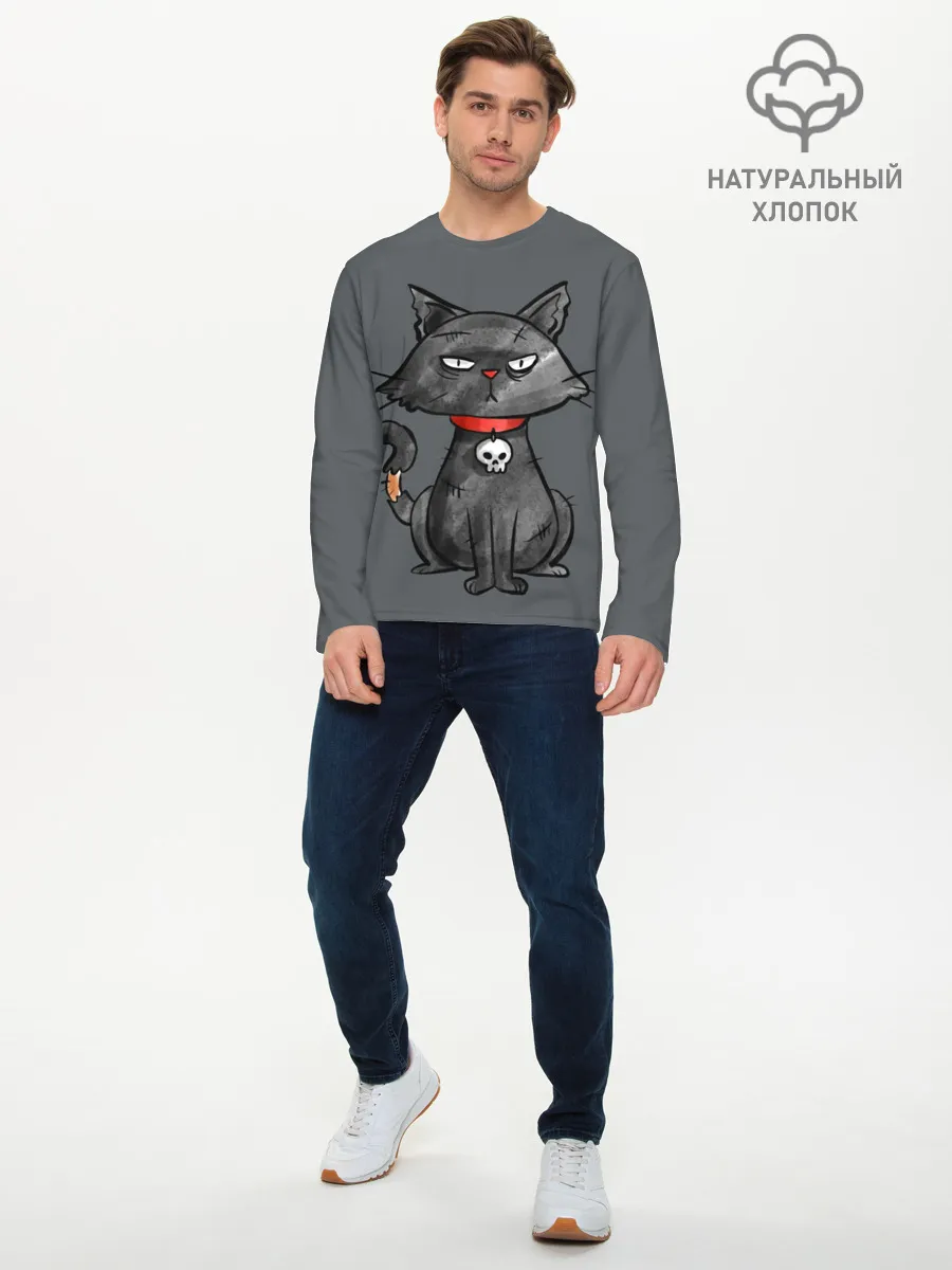 Мужской лонгслив базовый / Кот бедолага