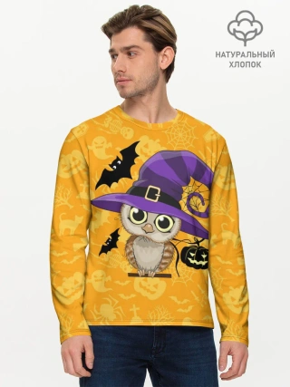 Мужской лонгслив базовый / Совушка и хэллоуин