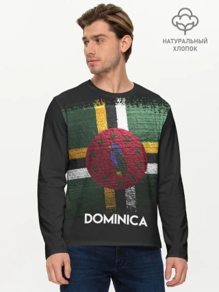 Мужской лонгслив базовый / DOMINICA