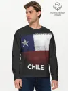 Мужской лонгслив базовый / Chile