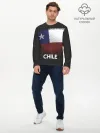 Мужской лонгслив базовый / Chile