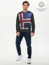 Мужской лонгслив базовый / Iceland