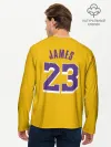 Мужской лонгслив базовый / James 18-19 LA Lakers home