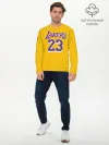 Мужской лонгслив базовый / James 18-19 LA Lakers home