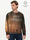 Мужской лонгслив базовый / Life is Strange 2