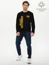 Мужской лонгслив базовый / PUBG / ПАБГ