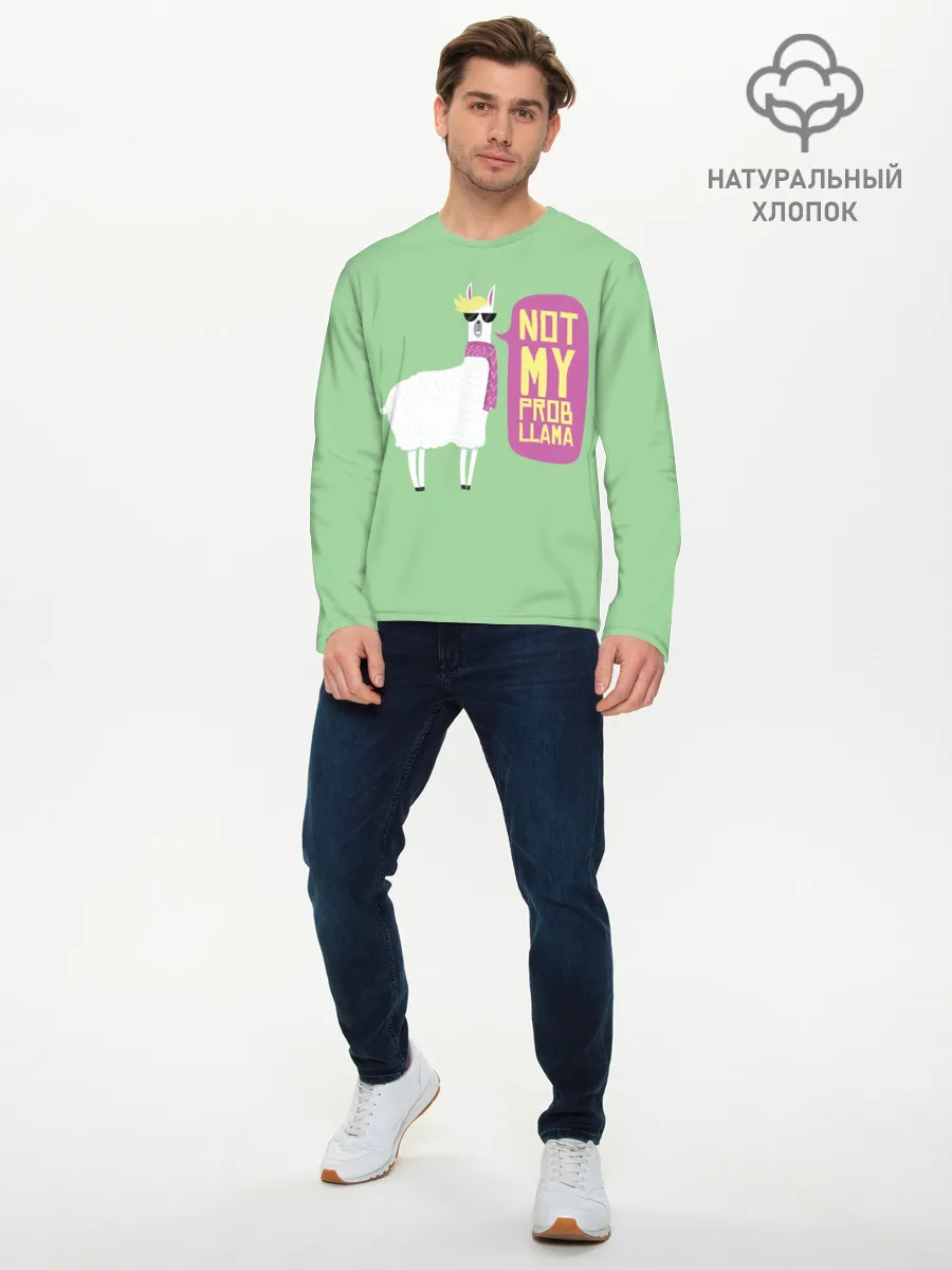 Мужской лонгслив базовый / Лама