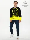 Мужской лонгслив базовый / Twenty One Pilots