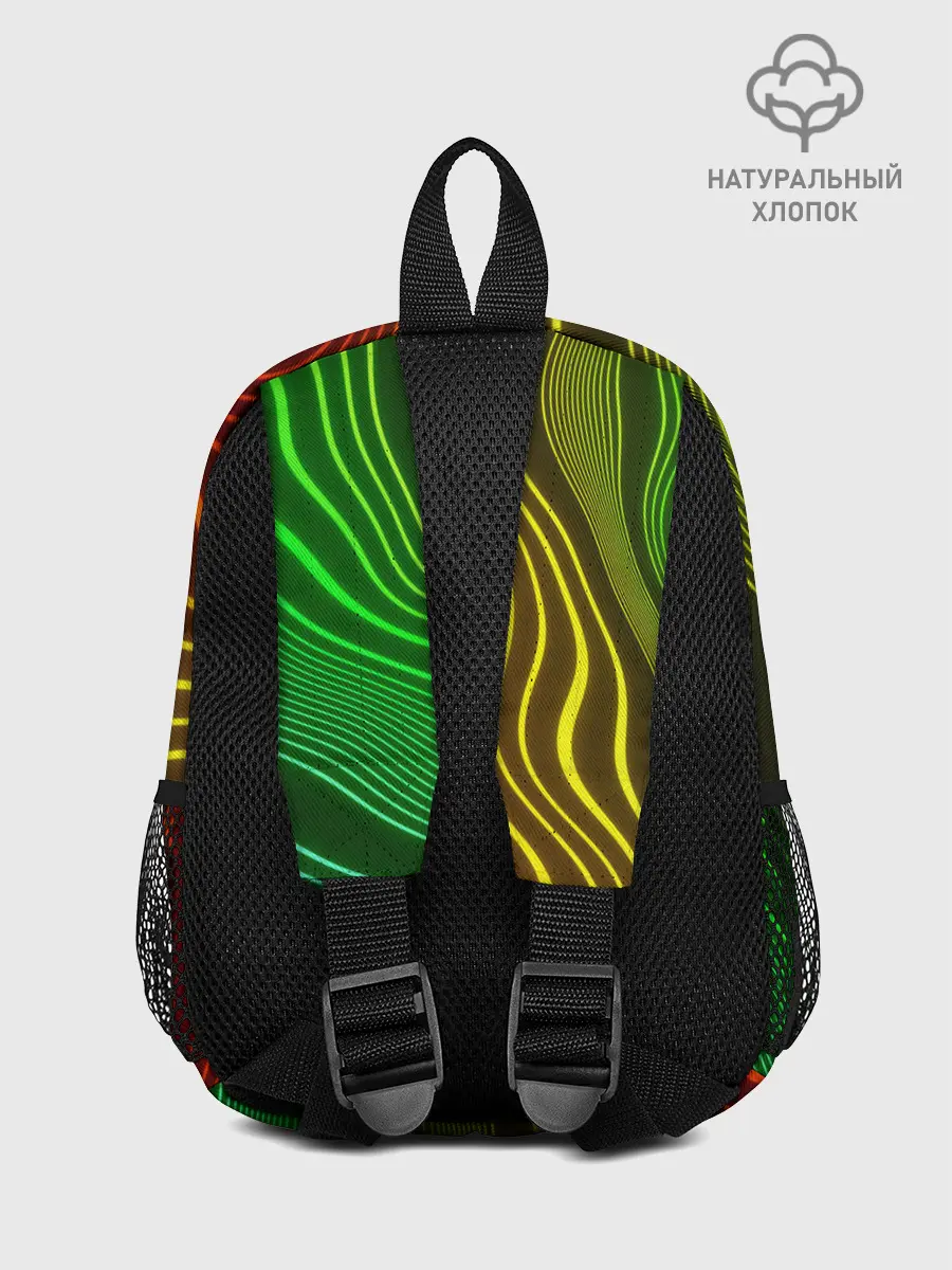 Рюкзак детский / КАРТОГРАФИЧЕСКАЯ ПРОЕКЦИЯ