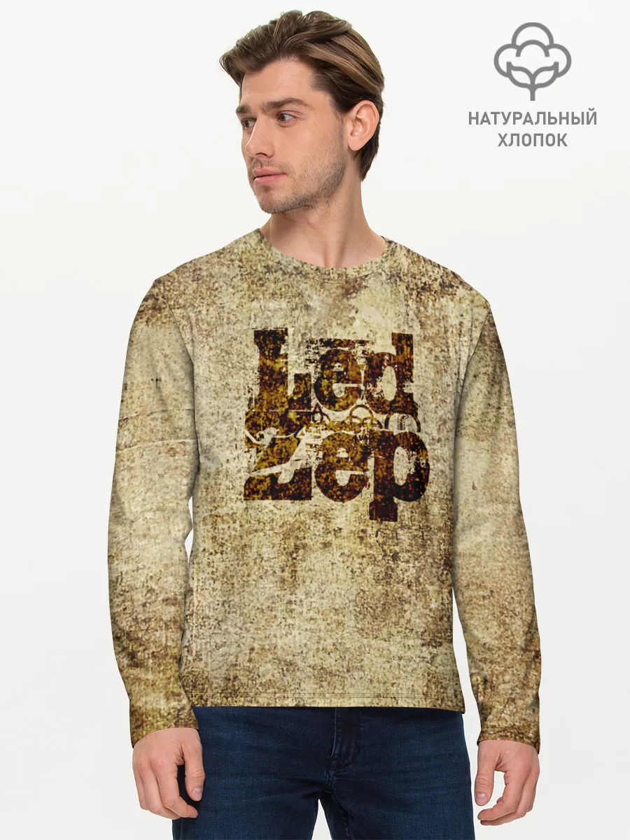 Мужской лонгслив базовый / Led Zeppelin