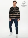 Мужской лонгслив базовый / American Flag Camo