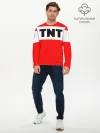 Мужской лонгслив базовый / TNT