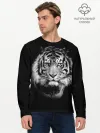 Мужской лонгслив базовый / Тигр