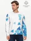 Мужской лонгслив базовый / Juventus