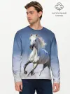 Мужской лонгслив базовый / Белая лошадь
