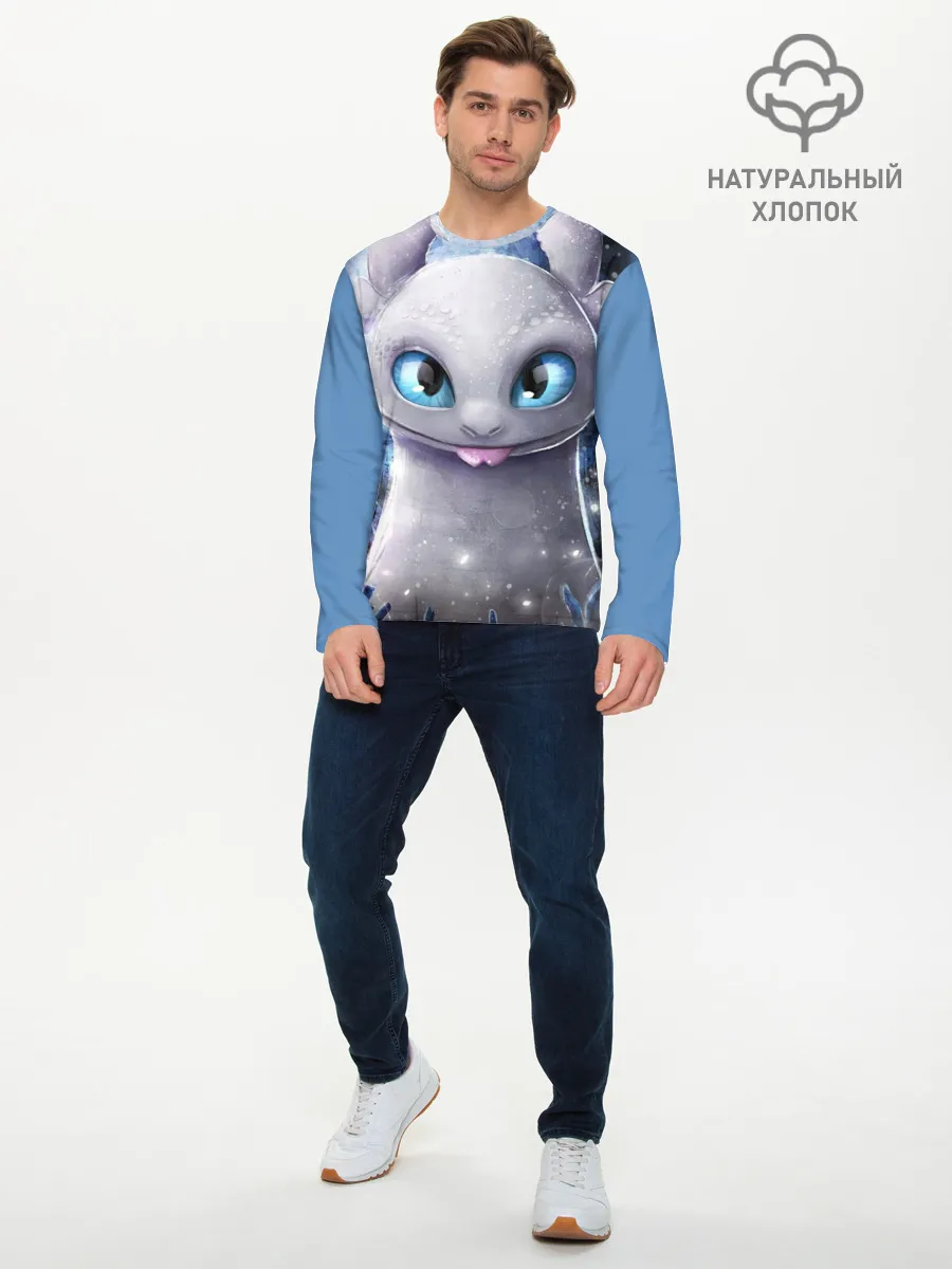 Мужской лонгслив базовый / дневная фурия