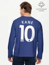 Мужской лонгслив базовый / Kane away 19-20