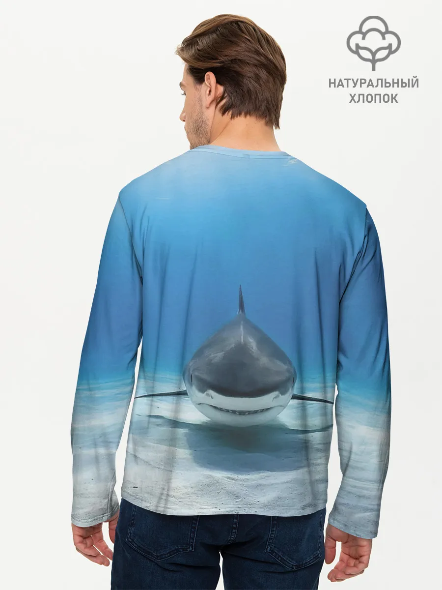 Мужской лонгслив базовый / Анфас