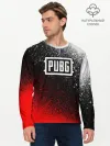 Мужской лонгслив базовый / PUBG