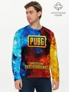 Мужской лонгслив базовый / PUBG