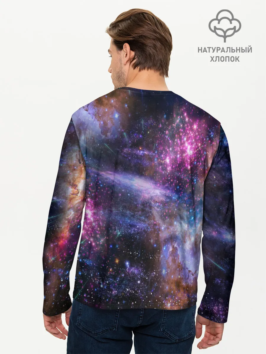 Мужской лонгслив базовый / Звездный тигр