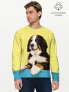 Мужской лонгслив базовый / Бернский зенненхунд, Berner Sennenhund