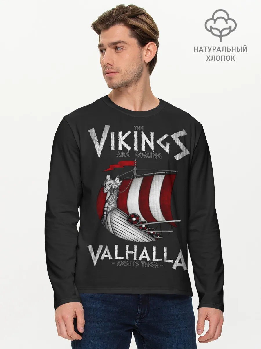 Мужской лонгслив базовый / Vikings Valhalla