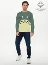 Мужской лонгслив базовый / totoro
