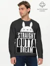 Мужской лонгслив базовый / Тоторо Straight outta dream