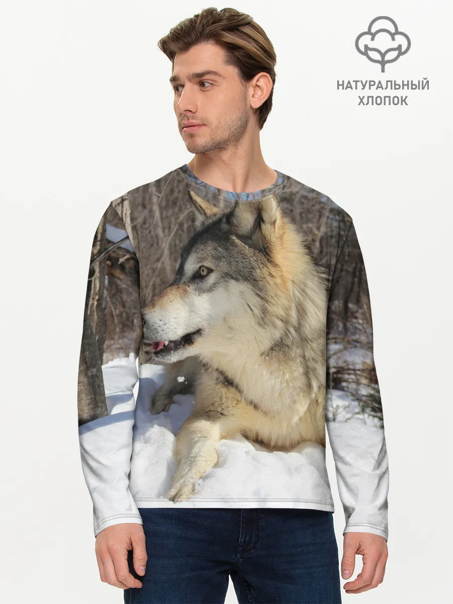 Мужской лонгслив базовый / Волк лежит на снегу