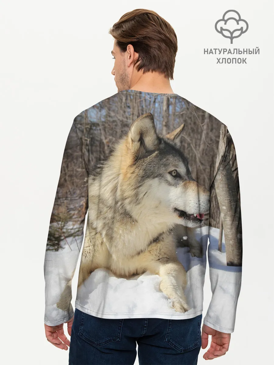 Мужской лонгслив базовый / Волк лежит на снегу