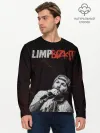 Мужской лонгслив базовый / Limp Bizkit