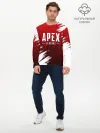Мужской лонгслив базовый / APEX LEGENDS