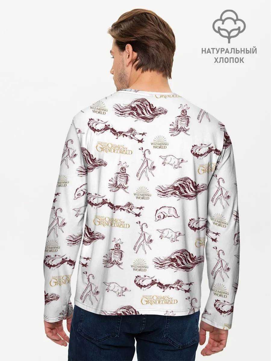 Мужской лонгслив базовый / Fantastic Beasts