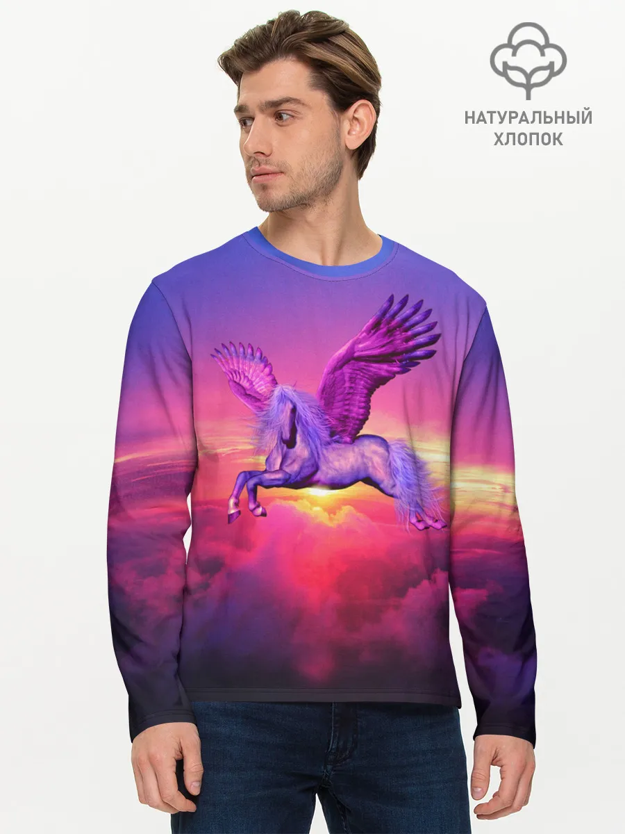 Мужской лонгслив базовый / Dusk Sky Horse