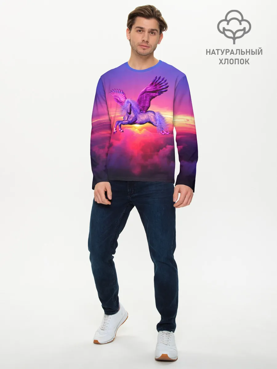 Мужской лонгслив базовый / Dusk Sky Horse