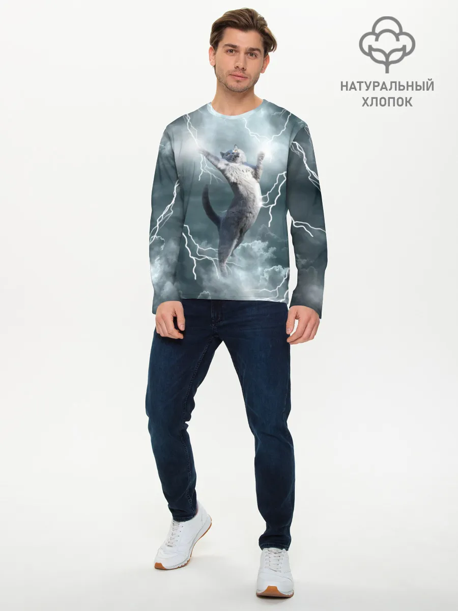 Мужской лонгслив базовый / Грозовой кошак.