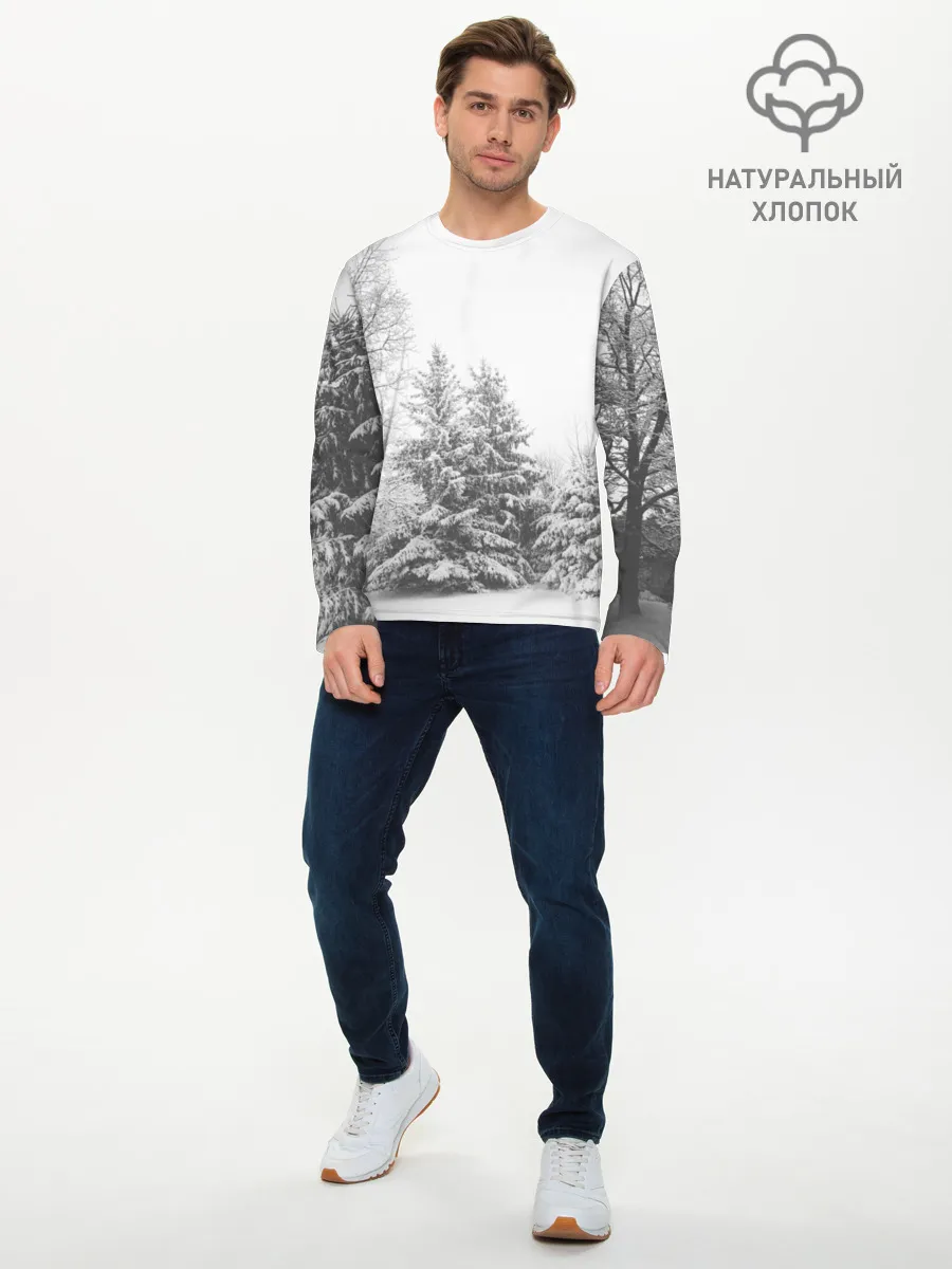 Мужской лонгслив базовый / Winter Storm