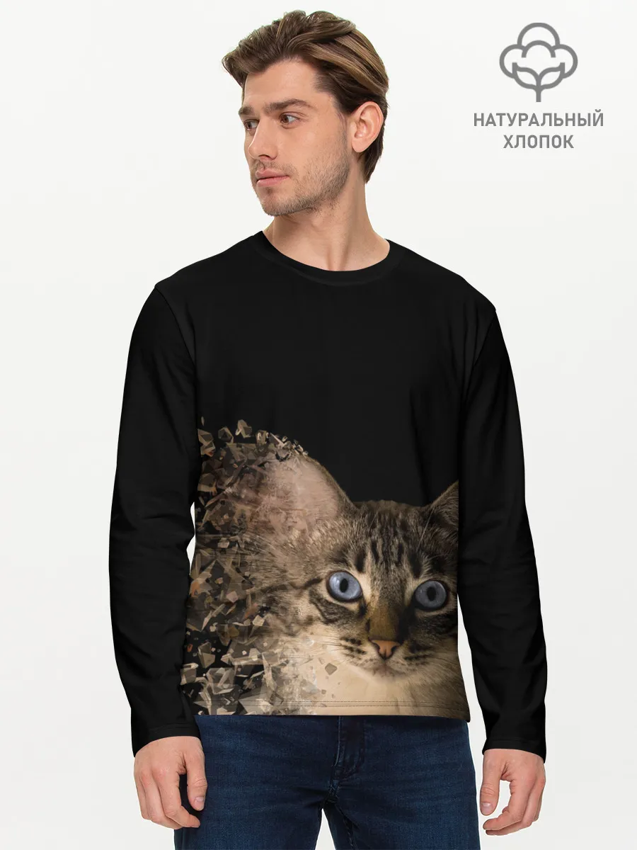 Мужской лонгслив базовый / Disintegrating Cat