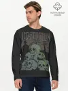 Мужской лонгслив базовый / Led Zeppelin