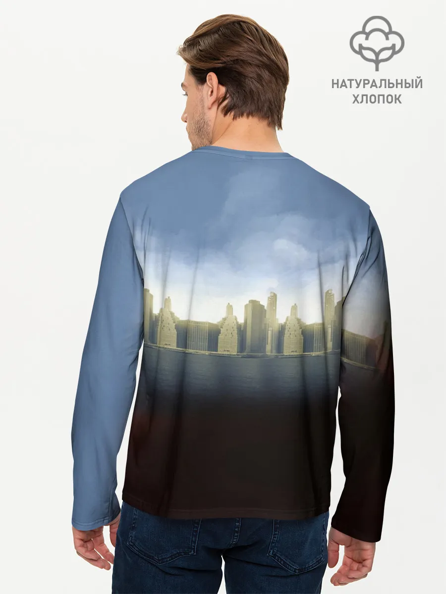 Мужской лонгслив базовый / The Division 2