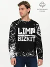 Мужской лонгслив базовый / Limp Bizkit