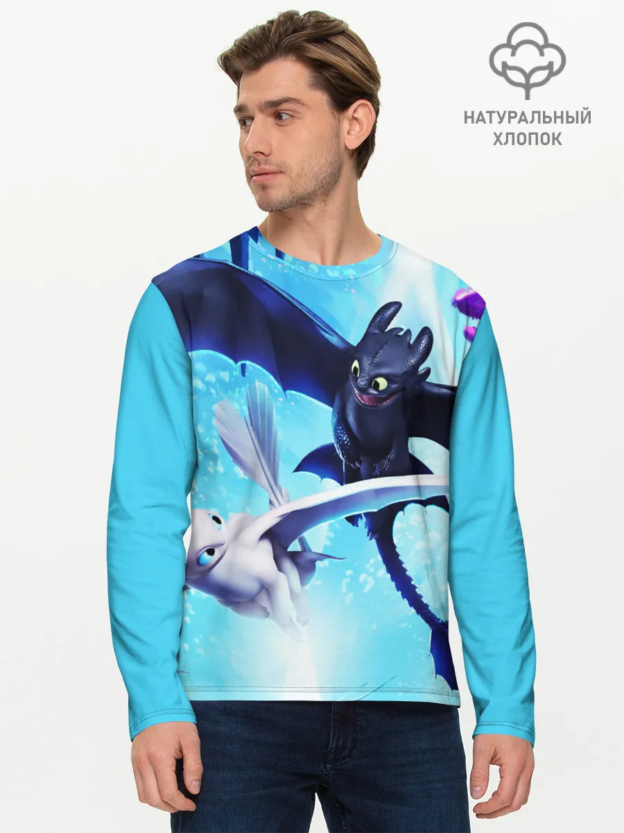 Мужской лонгслив базовый / Как приручить дракона