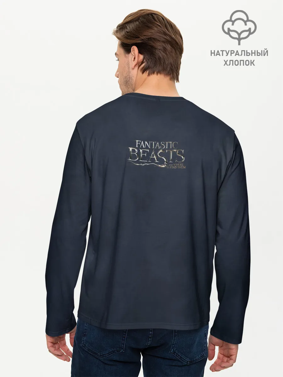 Мужской лонгслив базовый / Accio