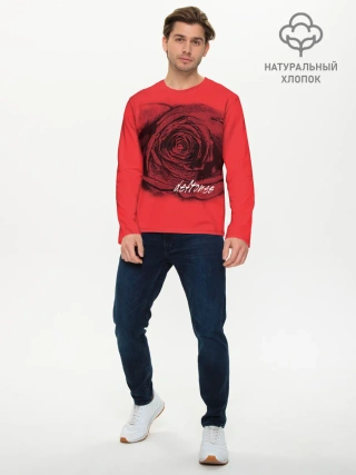 Мужской лонгслив базовый / Deftones