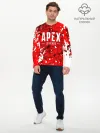 Мужской лонгслив базовый / APEX LEGENDS