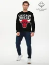 Мужской лонгслив базовый / B.C. Chicago Bulls