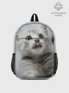 Рюкзак детский / Котенок