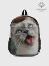 Рюкзак детский / Сиамский котенок