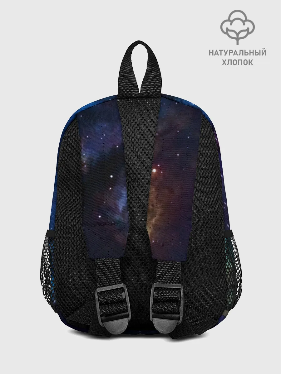 Рюкзак детский / ночная фурия